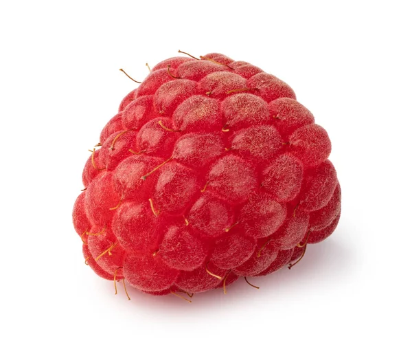 Ripe raspberry on white background — Stock Photo, Image