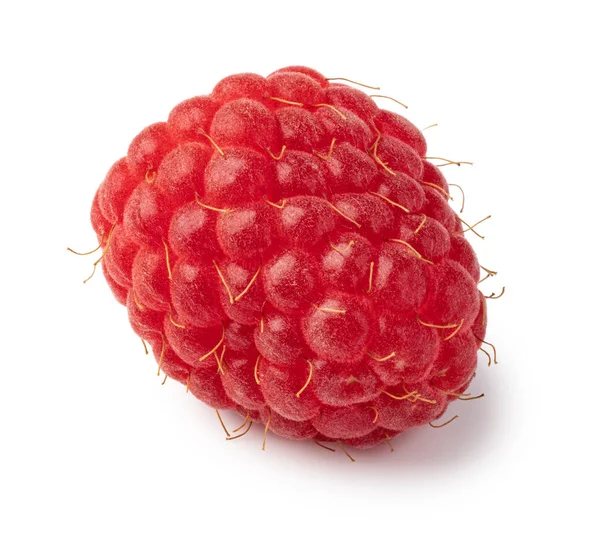 Ripe raspberry on white background — Stock Photo, Image