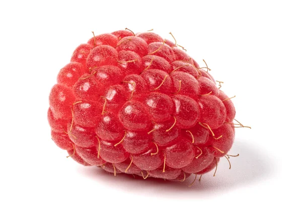 Ripe raspberry on white background — Stock Photo, Image