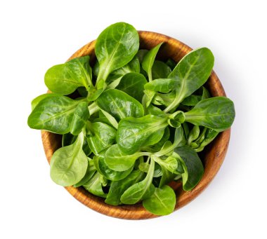 Mısır salata yaprakları