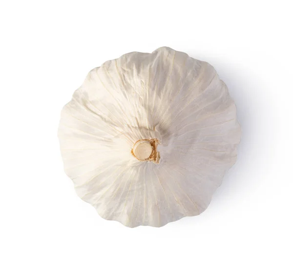 Fresh garlic on white background — Stock Photo, Image