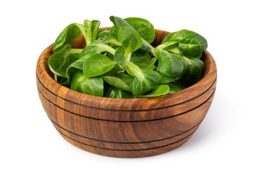 Mısır salata yaprakları