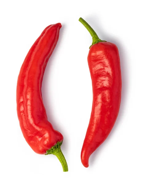 Piros chili paprika fehér háttér — Stock Fotó