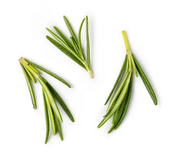 Rosemary on white background — Stockfoto