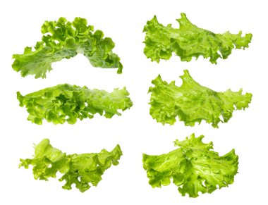 Beyaz arkaplanda marul salatası izole