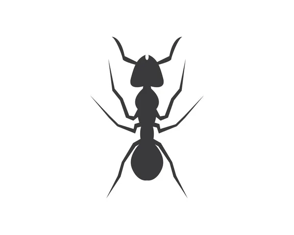 Σχεδιασμός Εικονογράφησης Διανύσματος Προτύπου Ant Logo — Διανυσματικό Αρχείο