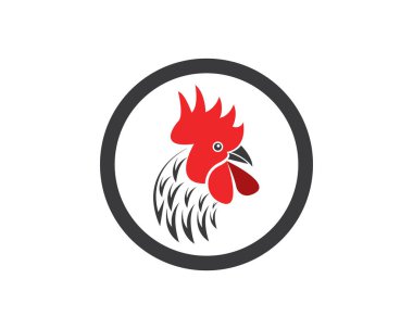 Rooster simgesi logo vektör şablonu çizimi