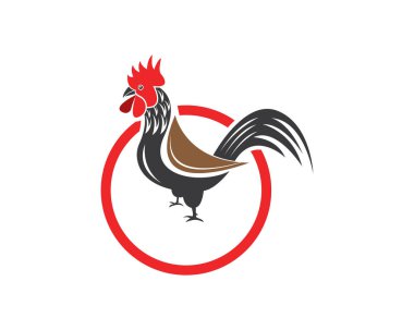 Rooster simgesi logo vektör şablonu çizimi