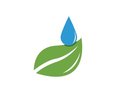 Water drop in leaf logo vector illustration