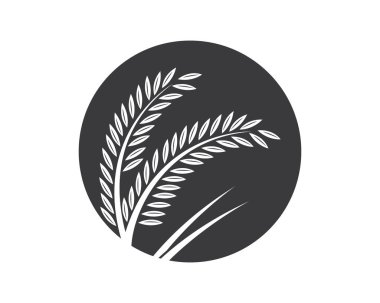 Tarım buğday vektör tasarımı 