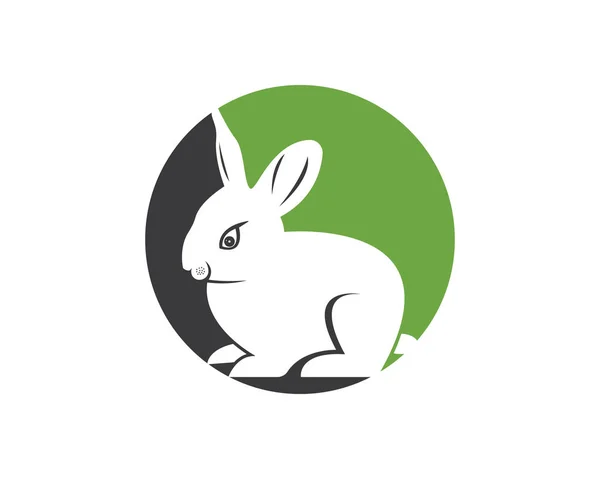 Rabbit Template Vector Icon Illustration Design — Stock Vector