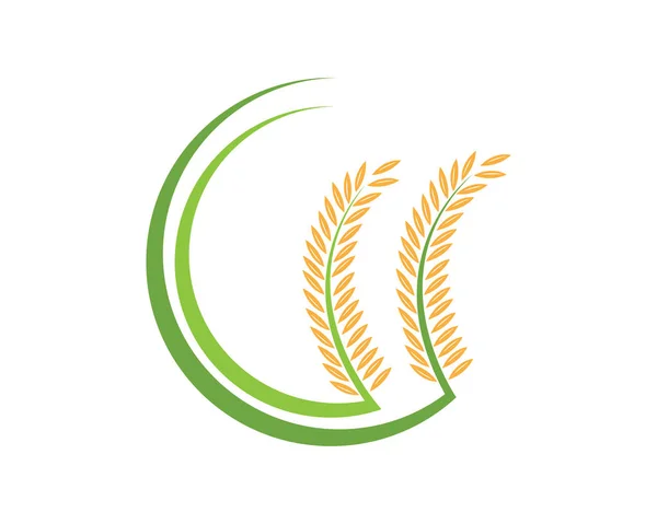 Návrh Ikon Pro Vektor Pšenice Zemědělství — Stockový vektor