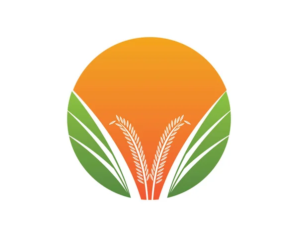 Agriculture Vecteur Blé Icône Design — Image vectorielle