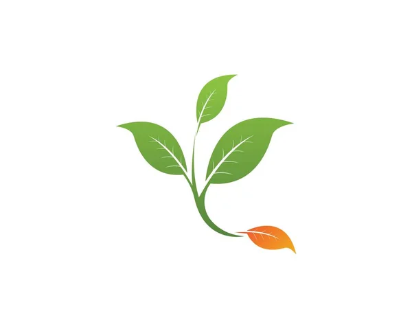 Nature Leaf Logo Design Sablon — Stock Vector