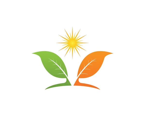 Modèle Conception Logo Feuille Nature — Image vectorielle
