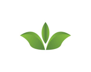 Doğa Yaprak Logosu Tasarım Şablonu