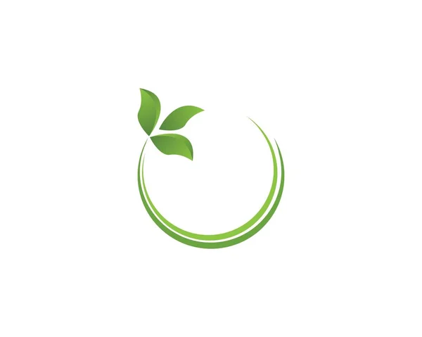Nature Leaf Logo Design Template — Stock Vector