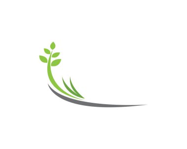Doğa Yaprak Logosu Tasarım Şablonu