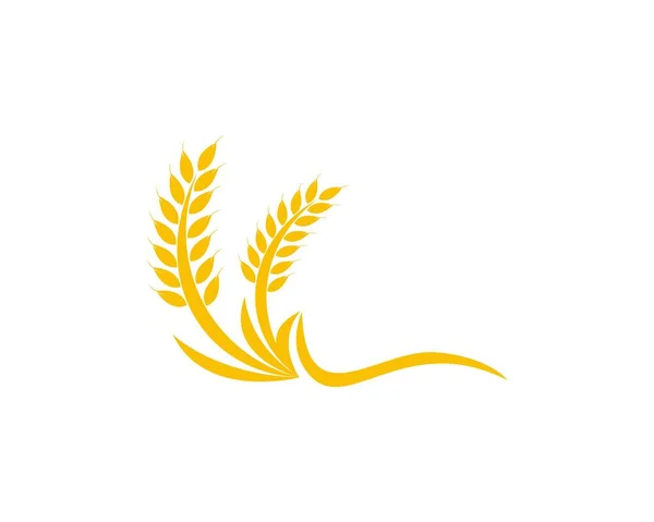 Buğday pirinç logosu tasarım şablonu