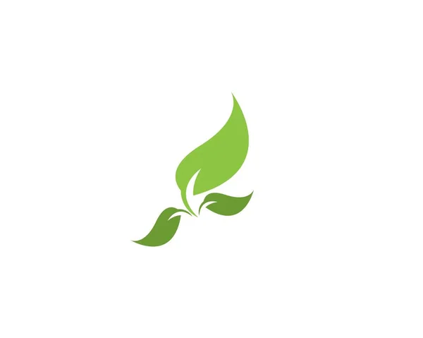 Plantilla Diseño Logotipo Hoja Naturaleza — Vector de stock