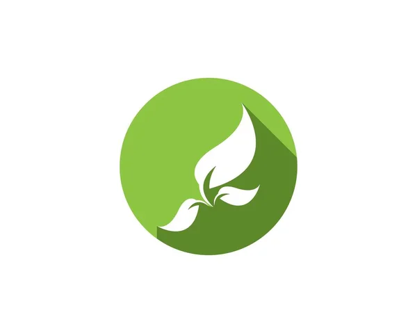 Natur Blatt Logo Design Vorlage — Stockvektor