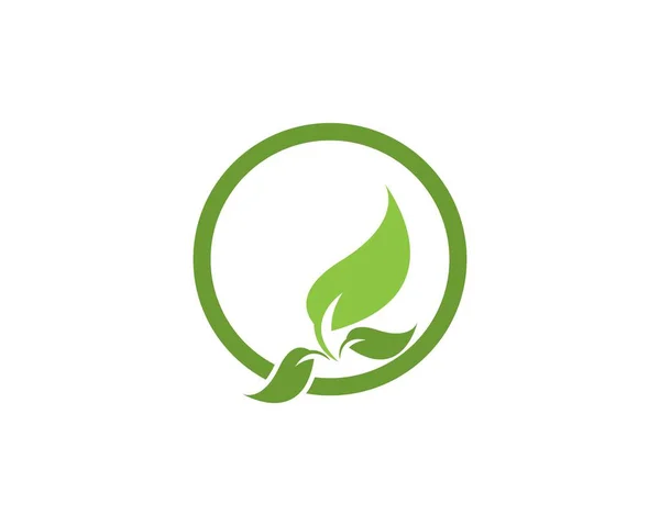 Natur Blatt Logo Design Vorlage — Stockvektor
