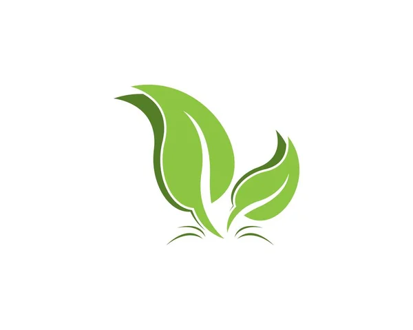 Nature Leaf Logo Design Sablon — Stock Vector