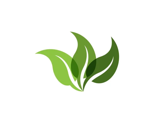 Nature Leaf Logo Design Template — Stock Vector