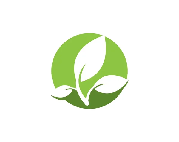 Plantilla Diseño Logotipo Hoja Naturaleza — Vector de stock