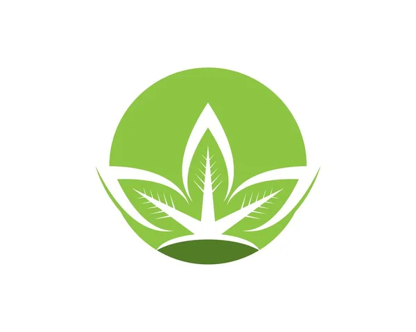 Natur Blatt Symbol Logo Vektor Vorlage — Stockvektor