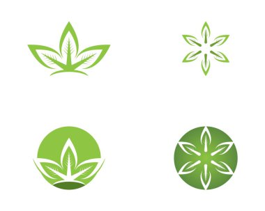 Doğa Yaprak simgesi logo şablonu