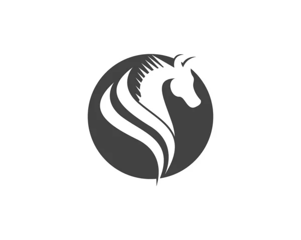 Szablon Wektora Logo Konia — Wektor stockowy
