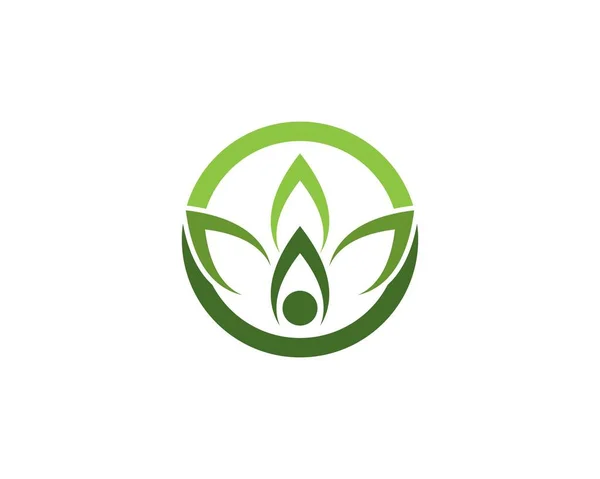 Natur Blatt Logo Vektor Vorlage — Stockvektor