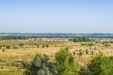 Bir alan içinde hiçbir şey dışında ağaçlar yetişir. Uzaktan şehrin görebilirsiniz