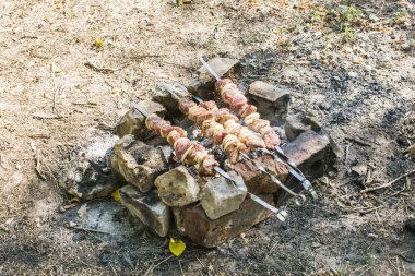 Şiş kebap şiş ve şenlik ateşinde et parçaları kızartın