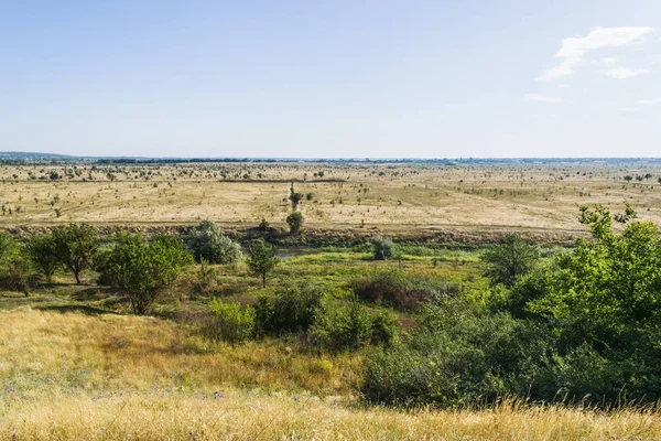 Afrika çöl. Susuz yaz tüm sarı döndü