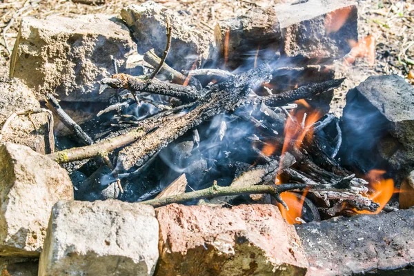 Şenlik ateşi, ormanda boşandı.