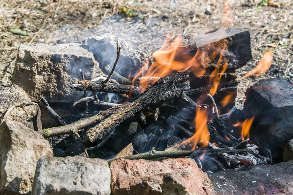 Şenlik ateşi, ormanda boşanmış. Çok sıcak ateş