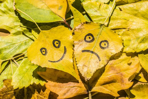Yellow leaves with a picture of happy and sad faces