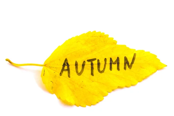 Yellow leaf with the inscription Autumn. Isolate — Stock Photo, Image