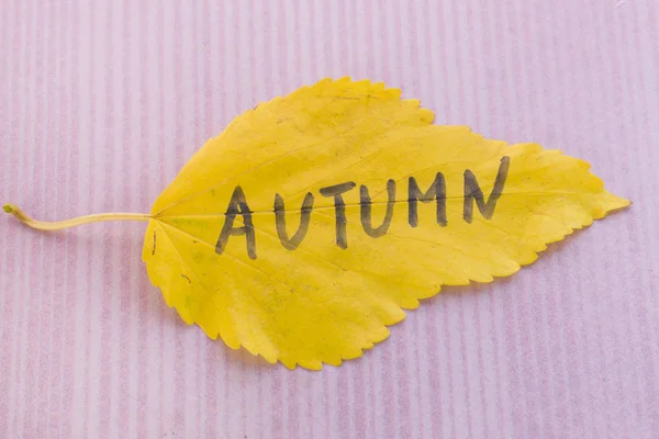 Feuille jaune avec une inscription automne — Photo