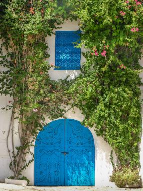 Sidi Bou Said City, Tunus yeşil bitkiler ile çevrili tipik mavi kapı.