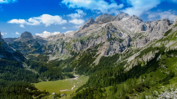 Görünüm içinde Triglav Ulusal Park. 