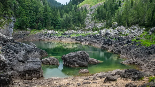 Vista de un lago verde . — Foto de Stock