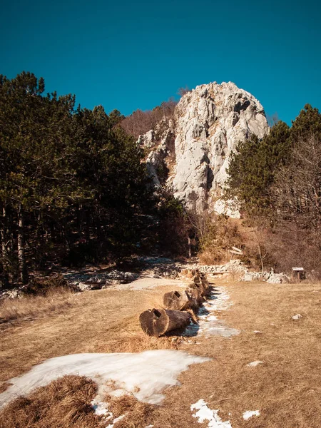 Paisaje vista del abrevadero de madera en el prado con hierba seca . — Foto de Stock