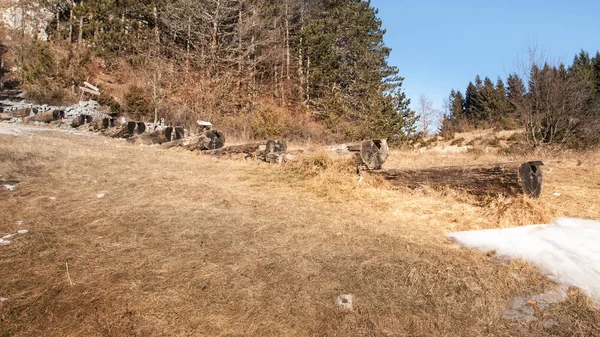 Lwooden sulama yalak bir çayır üzerinde.