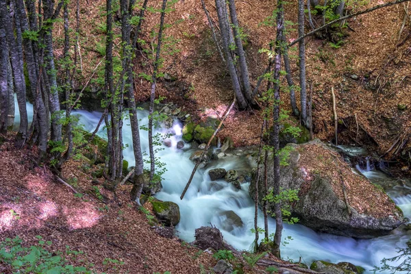 Vue paysage d'une rivière dans la forêt, arbres autour . — Photo