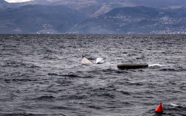 Küçük bir yelkenli kazası ve bir sandal koyu mavi deniz manzarası. Kostrena, Hırvatistan.