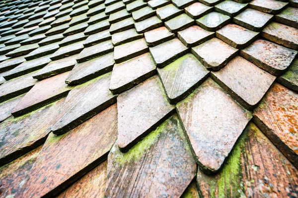 Moss ile döşenmiş çatı — Stok fotoğraf