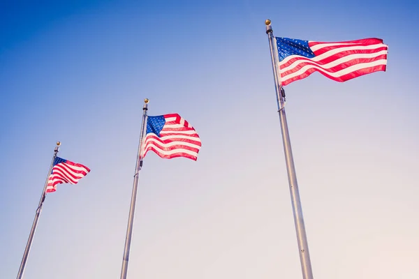 American flags on flagpoles — Stock Photo, Image